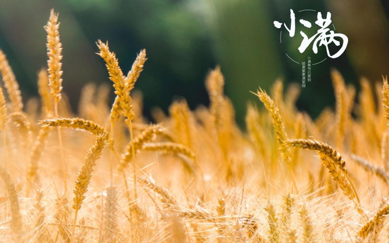 人生小滿勝萬全！